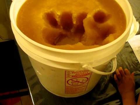  Honey Vs Store Honey Storck Acres Plant City FL